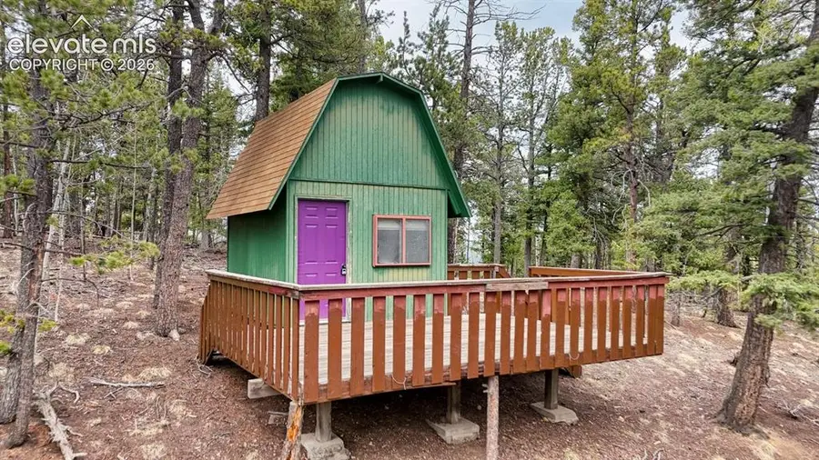 259 Potlatch Trail, Woodland Park, CO 80863 - #3