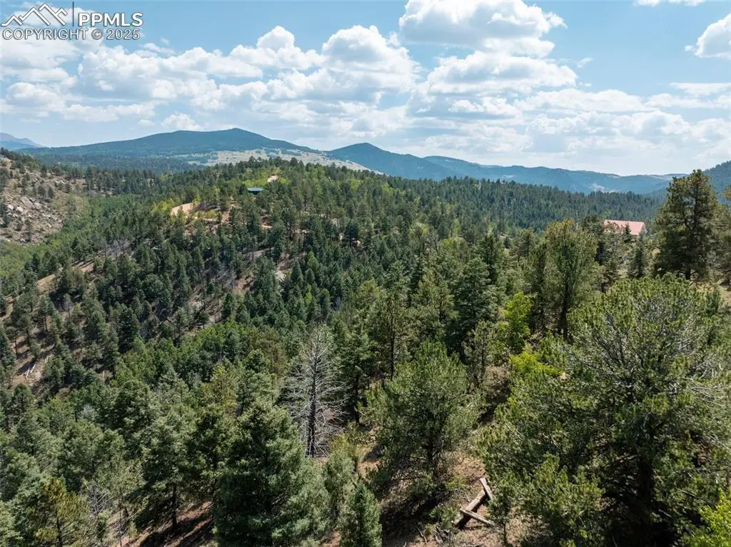 1151 Dandy Jim Drive, Cripple Creek, CO 80813 - #1