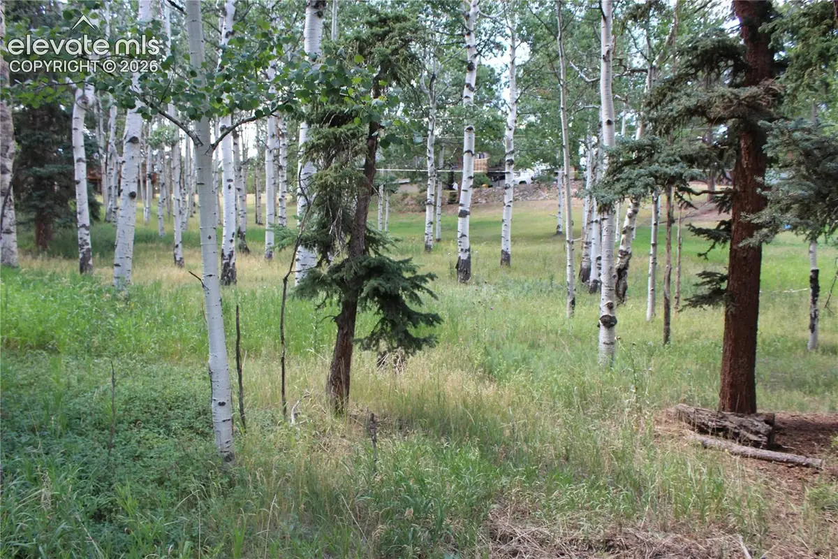 175 Club Drive, Woodland Park, CO 80863 - #1