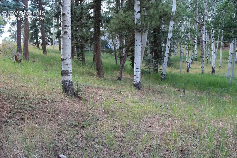 175 Club Drive, Woodland Park, CO 80863 - #2