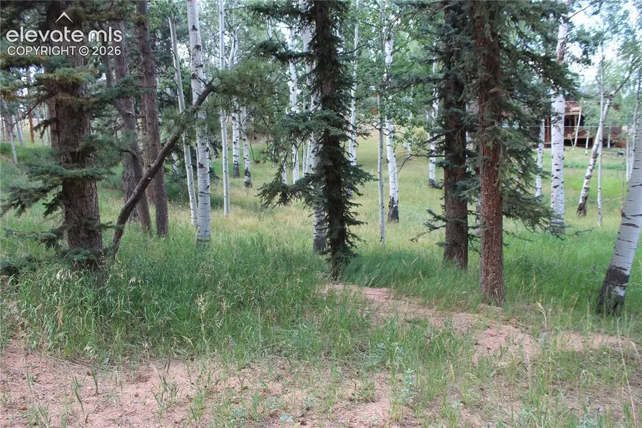 175 Club Drive, Woodland Park, CO 80863 - #3