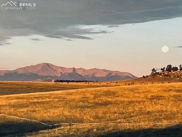 19230 Mariah Trail, Colorado Springs, CO 80908 - #1