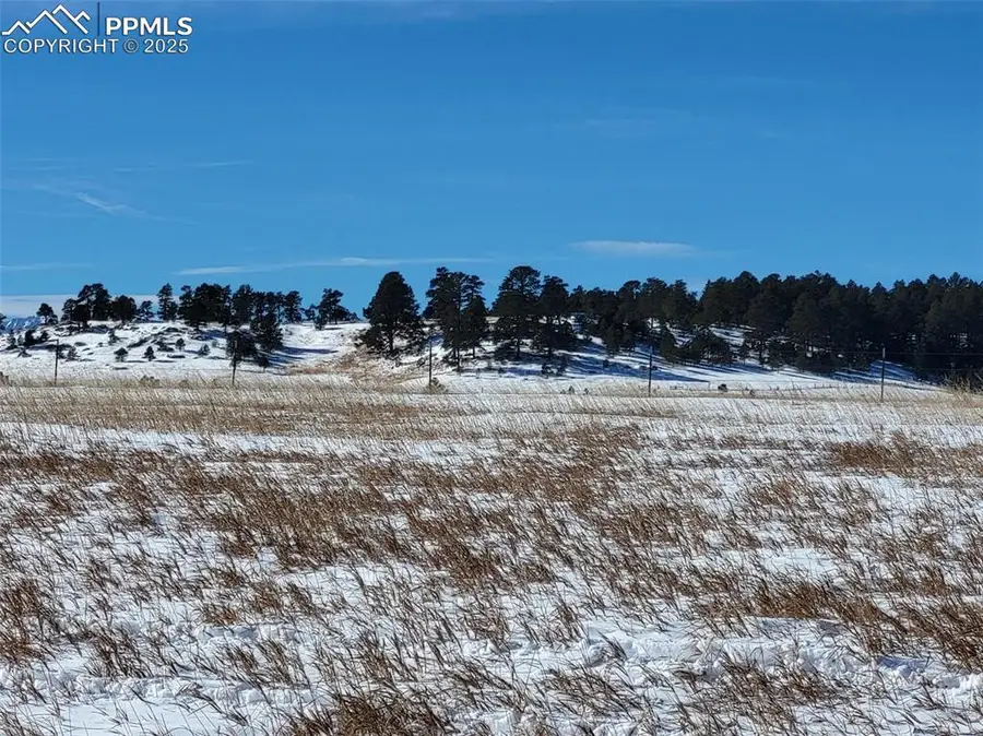 19230 Mariah Trail, Colorado Springs, CO 80908 - #3