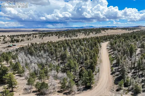 1430 Singletree Road, Hartsel, CO 80449