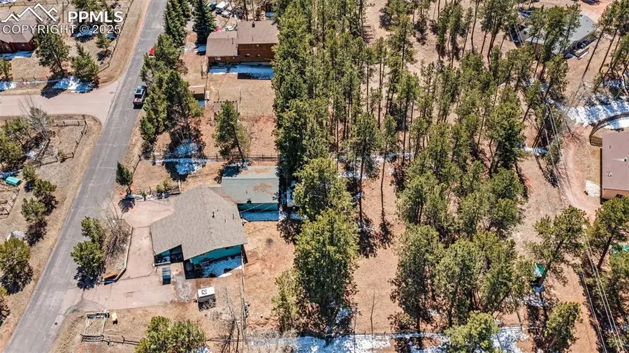 1250 Chippewa Trail, Woodland Park, CO 80863 - Image #2