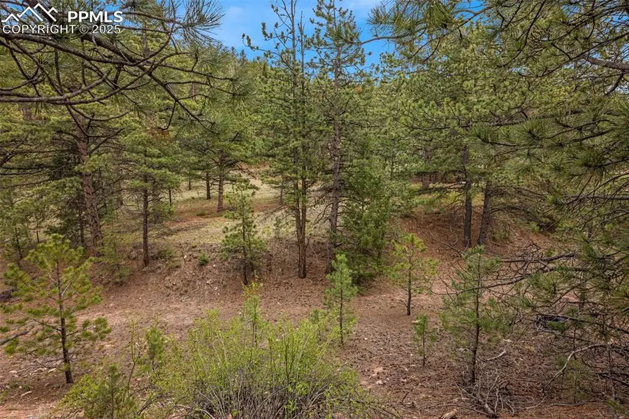 776 County Road 26, Canon City, CO 81212 - Image #2