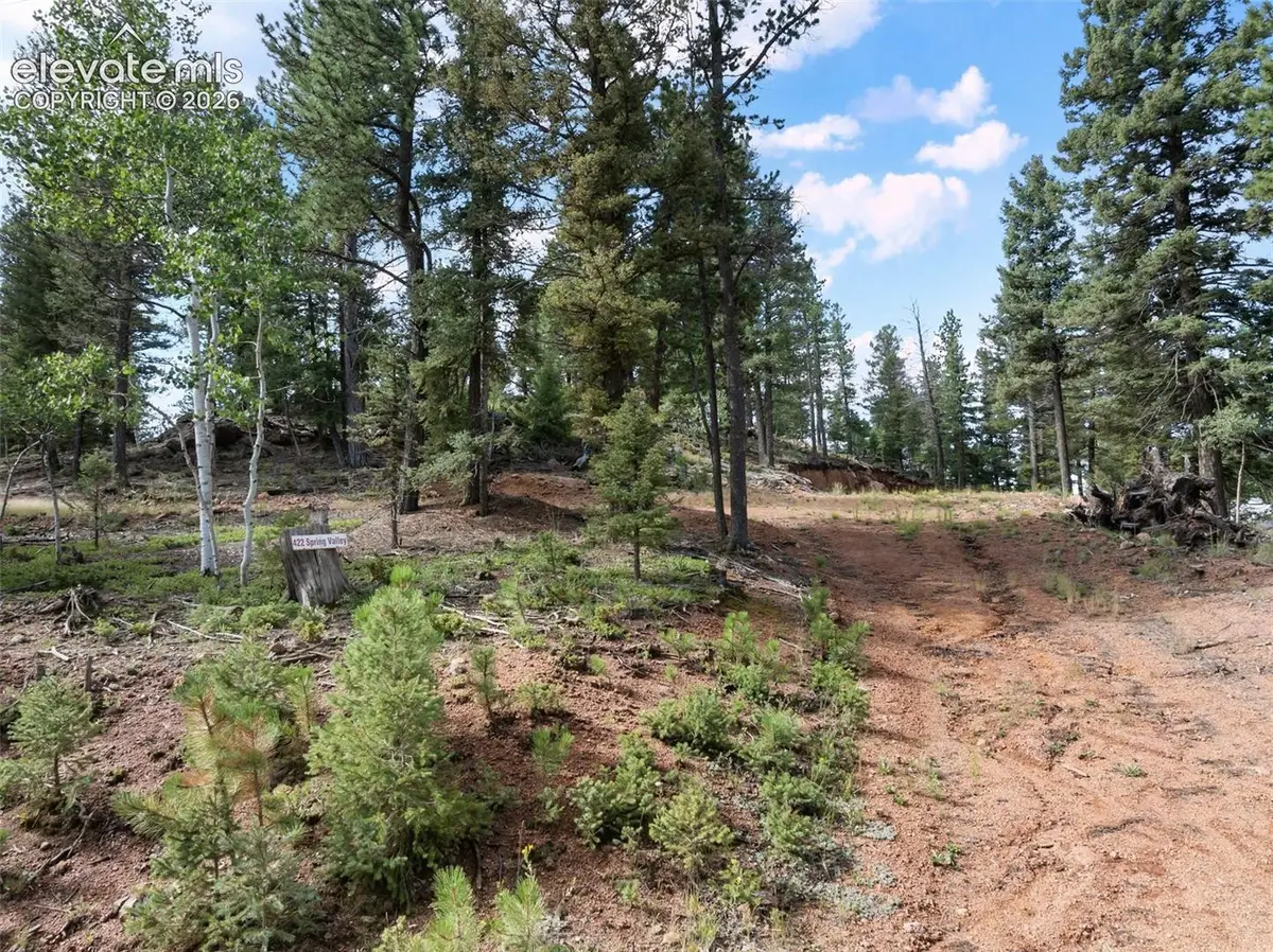 422 Spring Valley Drive, Divide, CO 80814 - #1