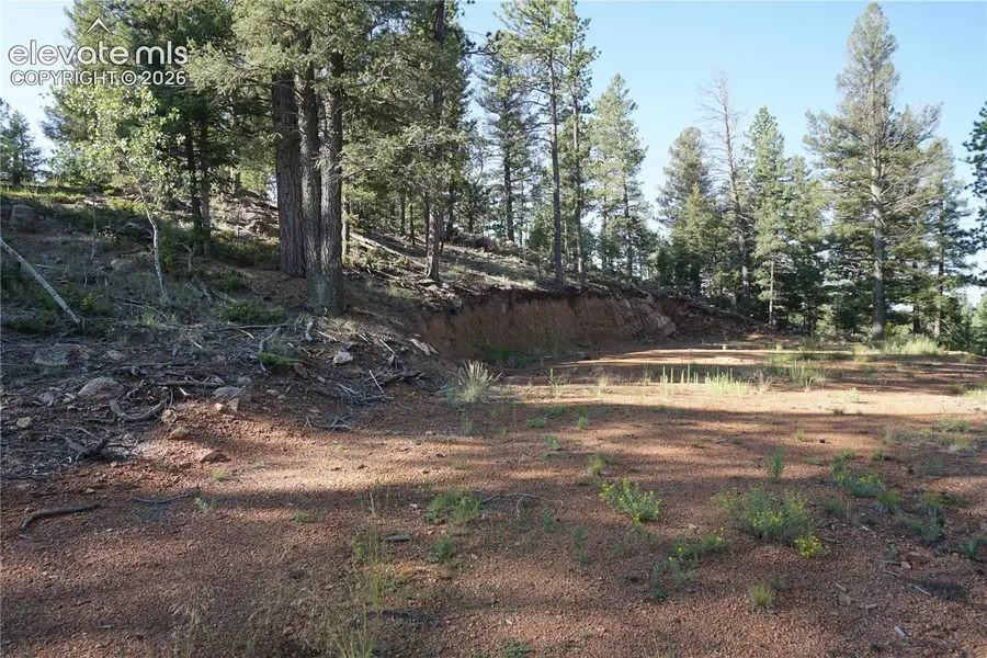 422 Spring Valley Drive, Divide, CO 80814 - #2