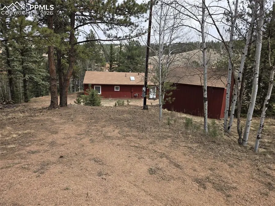 875 Obsidian Drive, Florissant, CO 80816 - #2