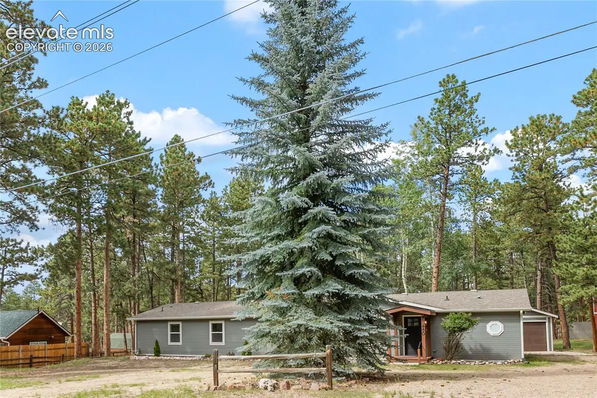 450 County Road, Woodland Park, CO 80863 - #1