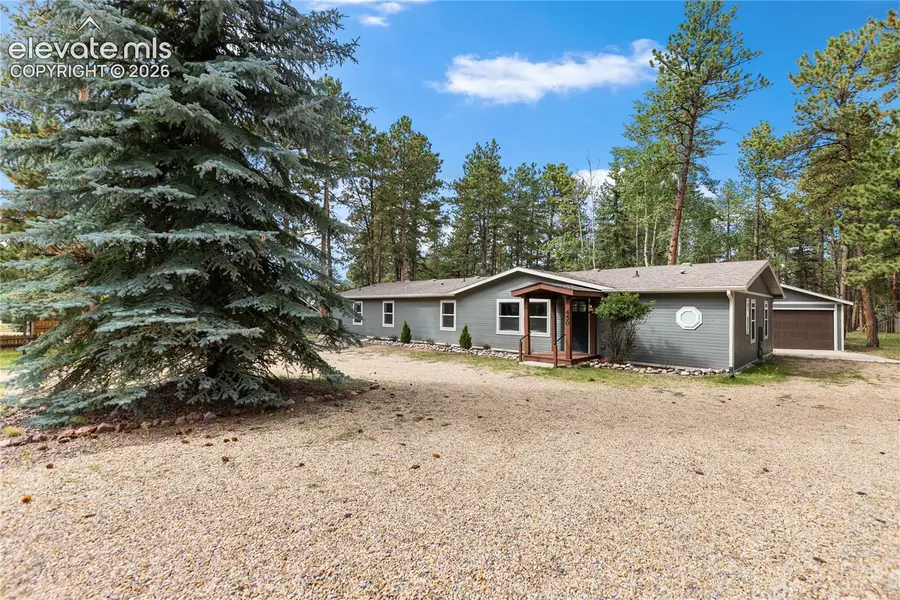 450 County Road, Woodland Park, CO 80863 - #2