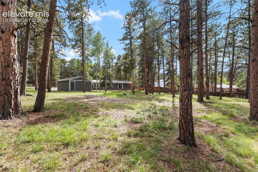 450 County Road, Woodland Park, CO 80863 - #3