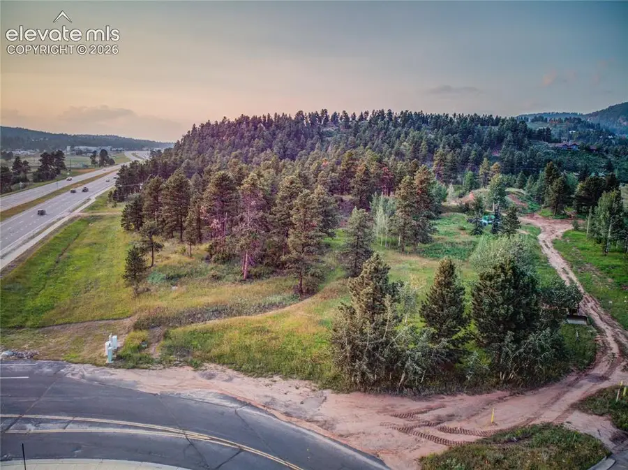 19569 E Highway 24, Woodland Park, CO 80863 - #2