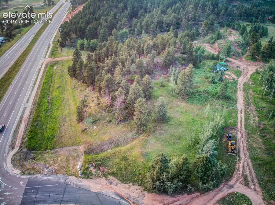 19569 E Highway 24, Woodland Park, CO 80863 - #3