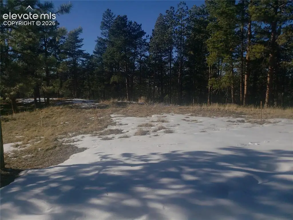 206 Eagles Perch Place, Woodland Park, CO 80863 - #1