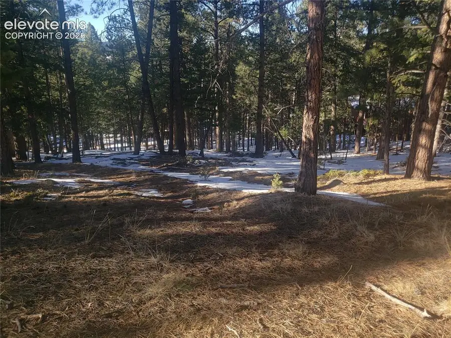 206 Eagles Perch Place, Woodland Park, CO 80863 - #3