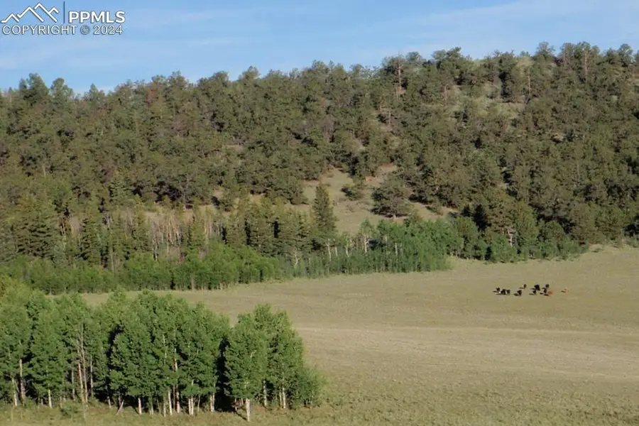 1185 County Road 734, Fairplay, CO 80440 - #2