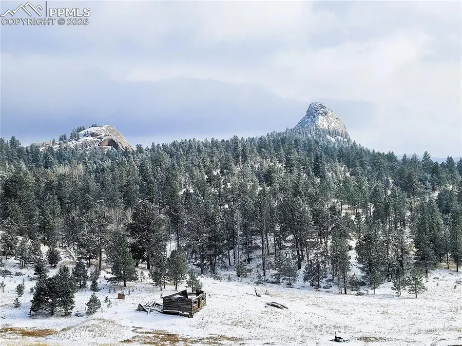 409 Wind Dancer Circle, Florissant, CO 80816 - #2
