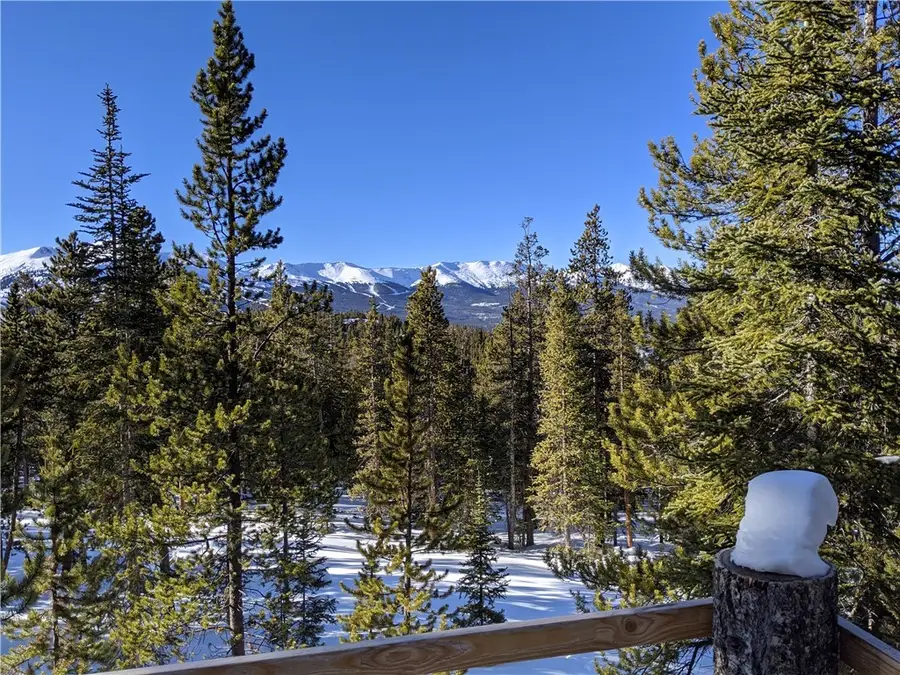 0190 Berlin Placer Road, Breckenridge, CO 80424 - Image #2