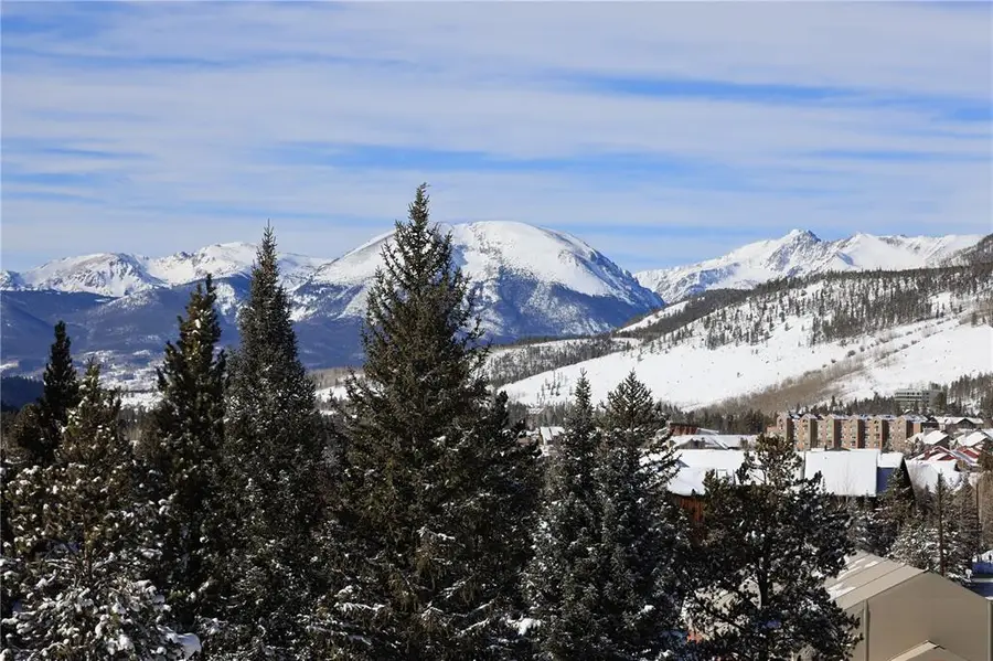 75 Hunki Dori Court #W509, Keystone, CO 80435 - Image #3