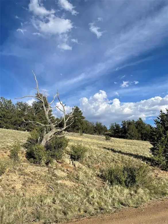 691 Cathy Drive, Hartsel, CO 80449 - #2