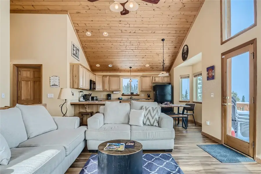 227 Valley Of The Sun Drive, Fairplay, CO 80440 - #2