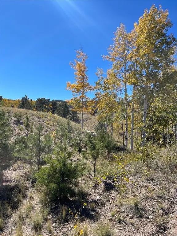 356 Bolster Drive, Hartsel, CO 80449 - #1