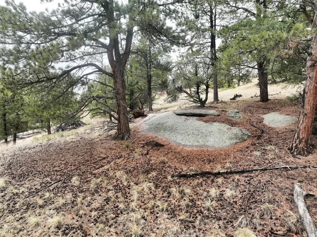 255 Pinon Lane, Florissant, CO 80816 - #1