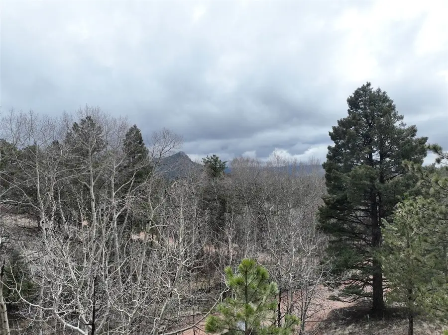 255 Pinon Lane, Florissant, CO 80816 - #3