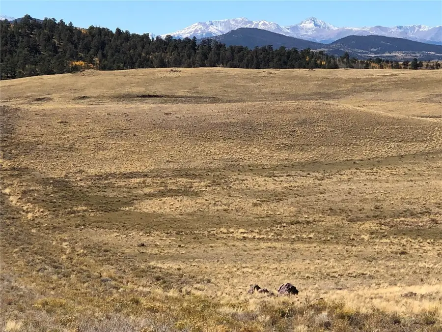 3036 Jumano Trail, Hartsel, CO 80449 - #2