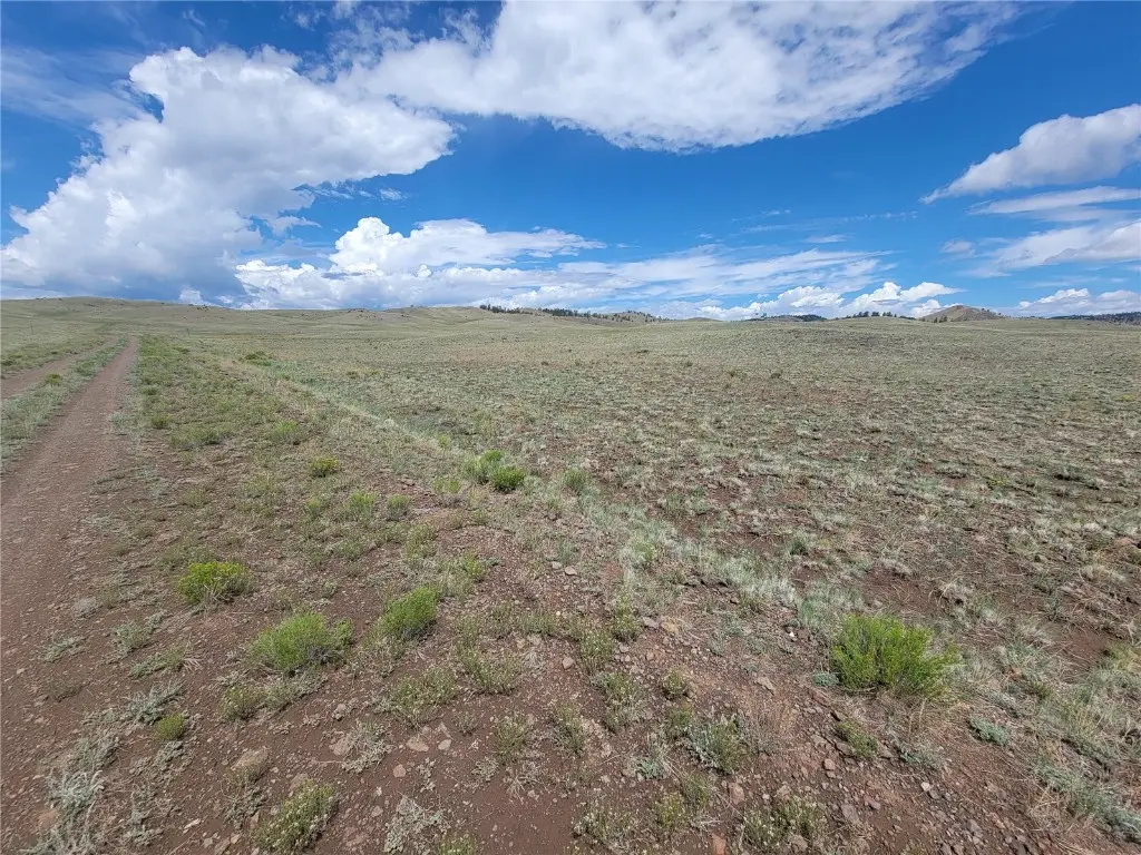 8513 Co, Lake George, CO 80820 - Image #1
