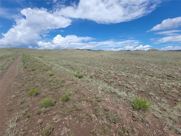 8513 Co, Hartsel, CO 80820