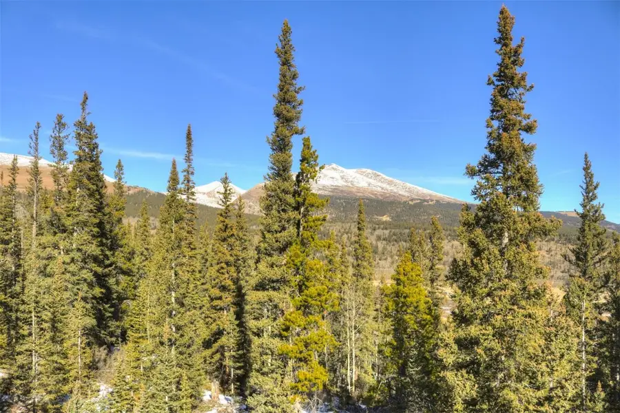 1198 Kootchie Kootchie Road, Alma, CO 80420 - Image #3