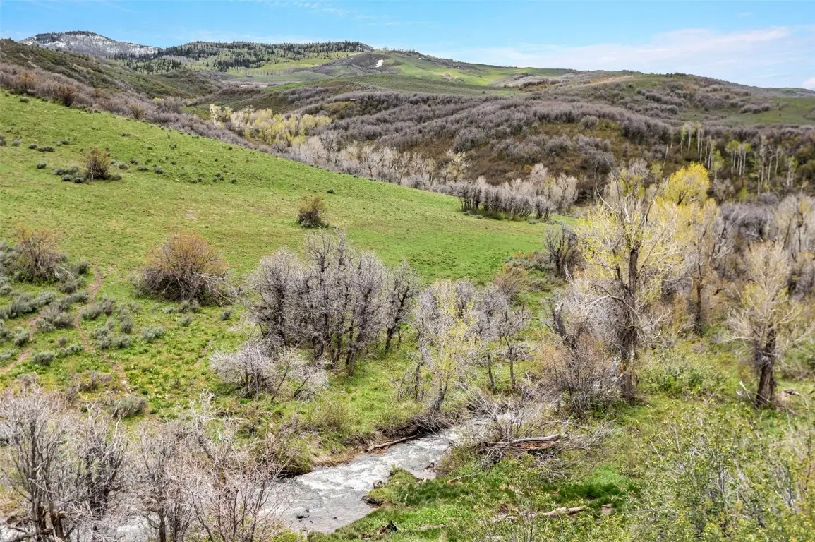 TBD County Road 80, Hayden, CO 81639 - Image #1