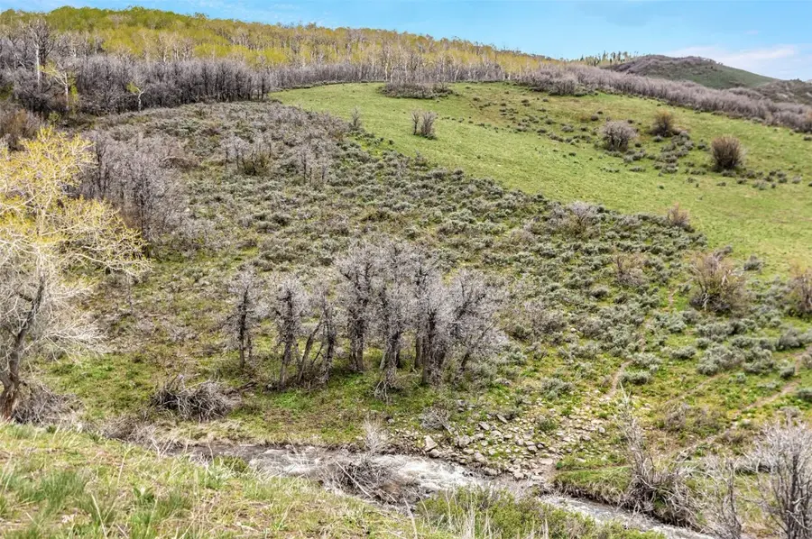 TBD County Road 80, Hayden, CO 81639 - Image #3