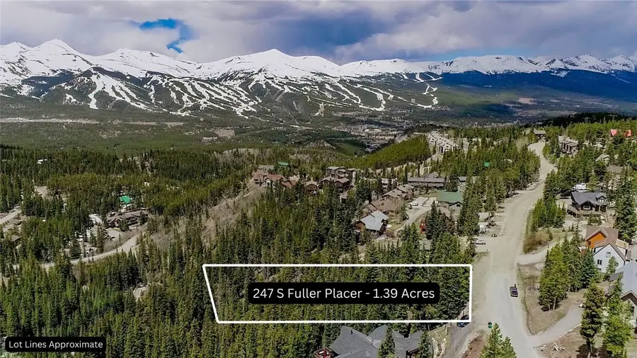 247 S Fuller Placer Road, Breckenridge, CO 80424 - #2