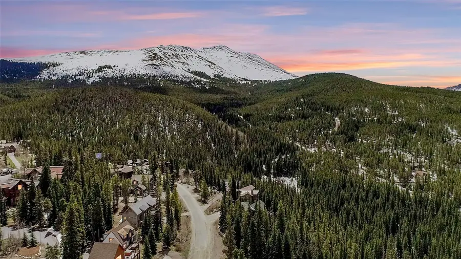 247 S Fuller Placer Road, Breckenridge, CO 80424 - #3