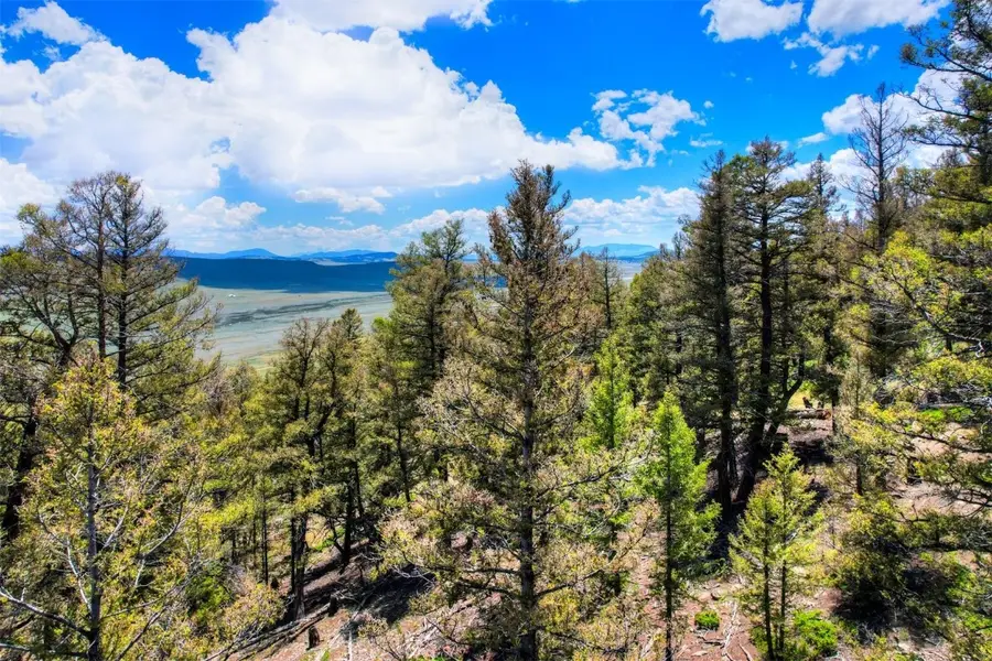Lot 262 Middle Fork Vista, Fairplay, CO 80440 - Image #3