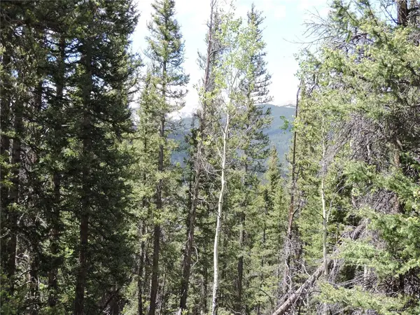 00 Georgia Pass Lookout, Jefferson, CO 80456