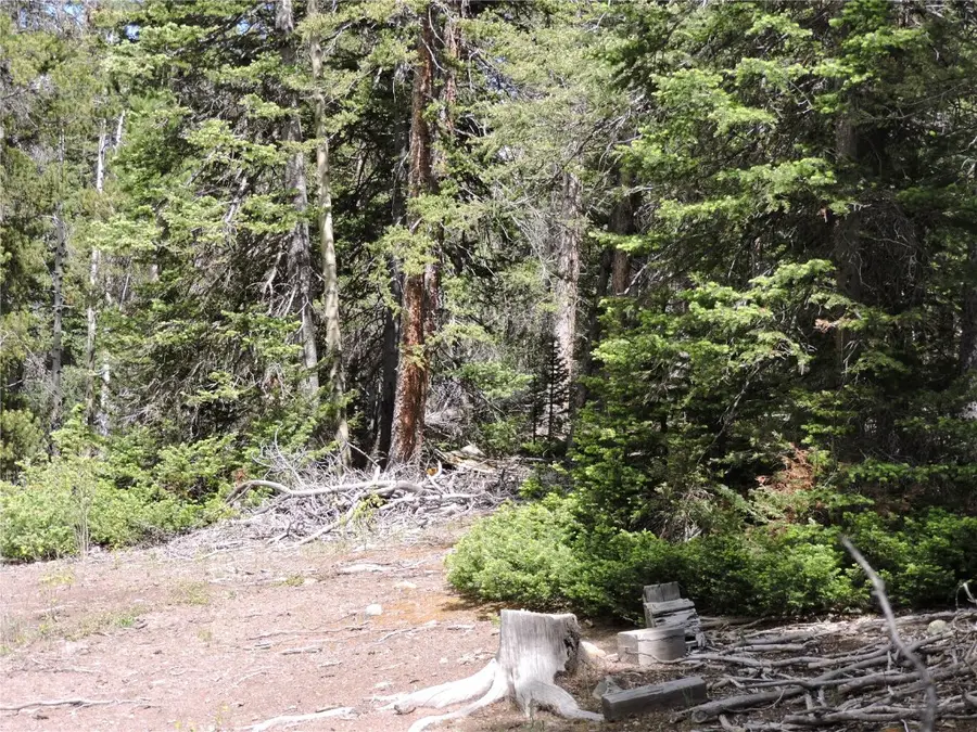 00 Georgia Pass Lookout, Jefferson, CO 80456 - Image #2