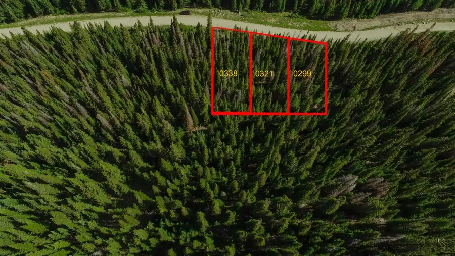 339 Cr 805, Breckenridge, CO 80424 - #2