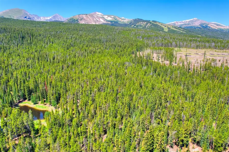 158 Bryce Estates Road, Breckenridge, CO 80424 - #2