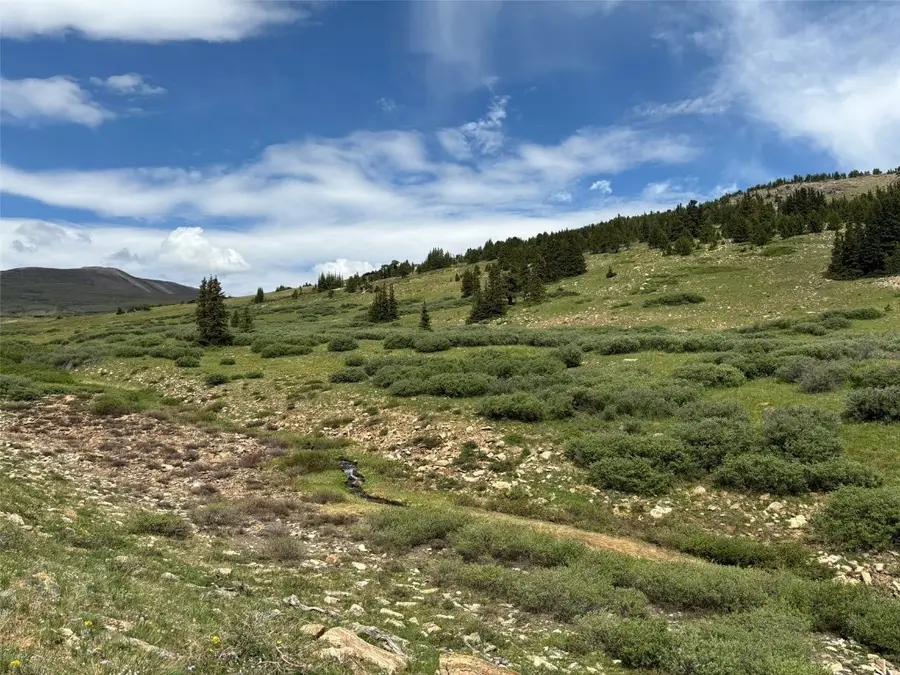 00 Alvin, Silver Cave, Little Ida, Fairplay, CO 80440 - #2