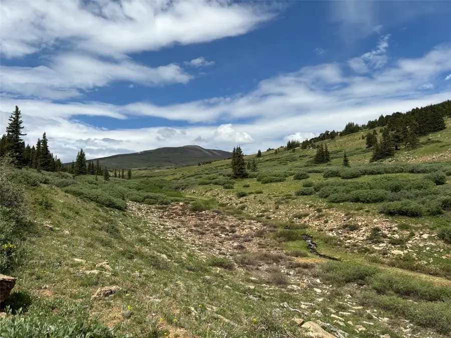 00 Alvin, Silver Cave, Little Ida, Fairplay, CO 80440 - #3