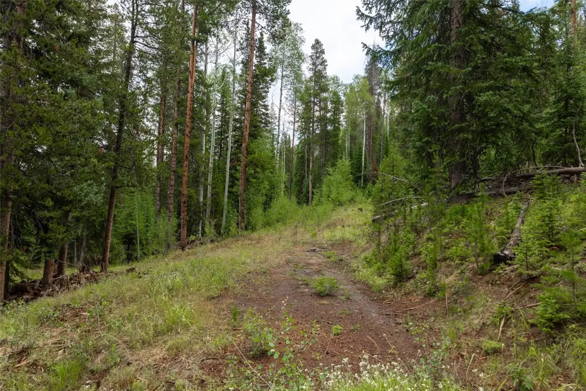 39455 Crows Nest Drive, Clark, CO 80428 - Image #1