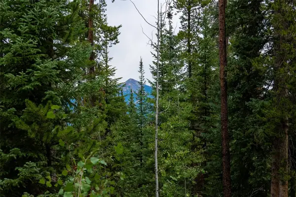 39455 Crows Nest Drive, Clark, CO 80428