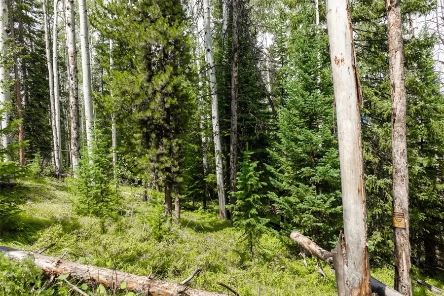 39455 Crows Nest Drive, Clark, CO 80428 - Image #3