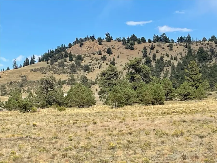 14171 Chickasaw Road, Hartsel, CO 80449 - #3