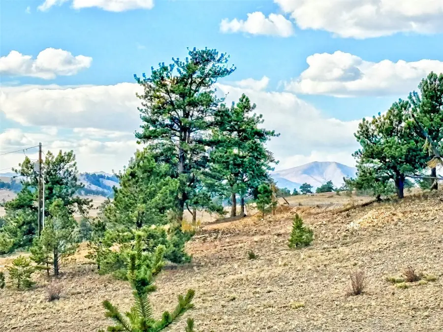 115 Black Canyon Court, Hartsel, CO 80449 - Image #2