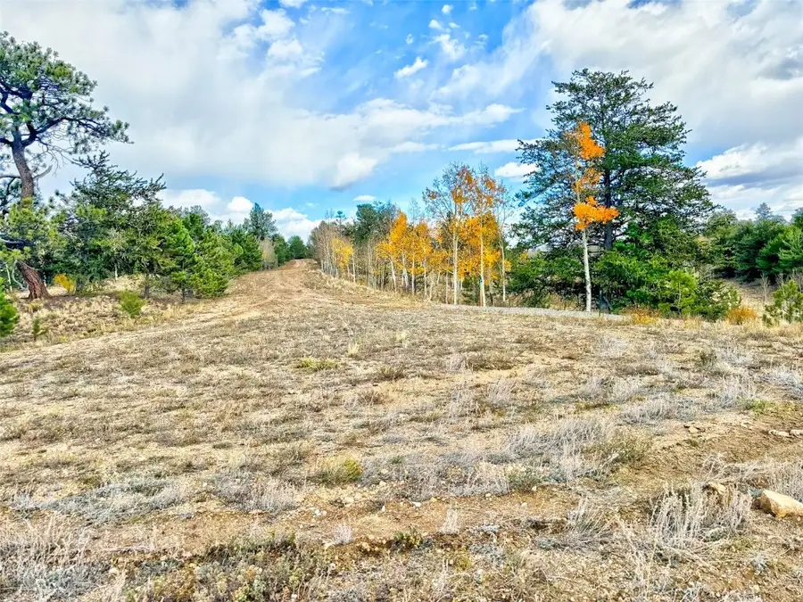 115 Black Canyon Court, Hartsel, CO 80449 - Image #3